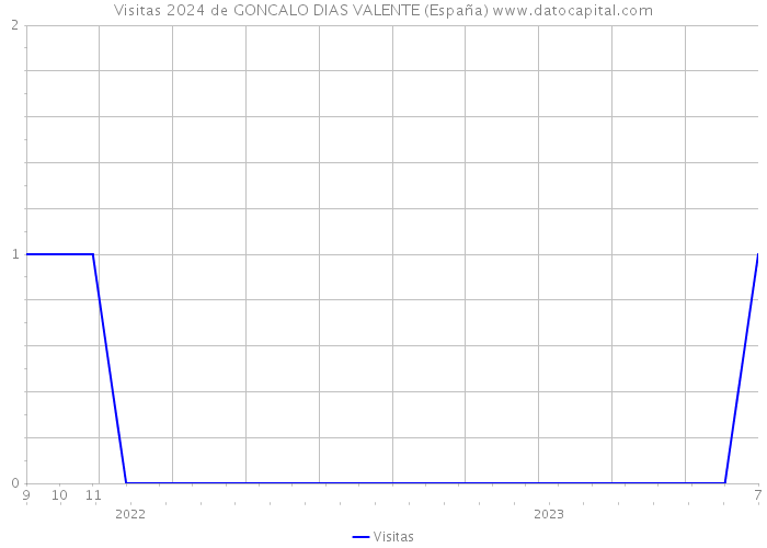 Visitas 2024 de GONCALO DIAS VALENTE (España) 