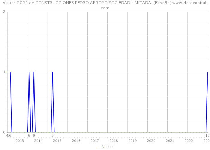 Visitas 2024 de CONSTRUCCIONES PEDRO ARROYO SOCIEDAD LIMITADA. (España) 