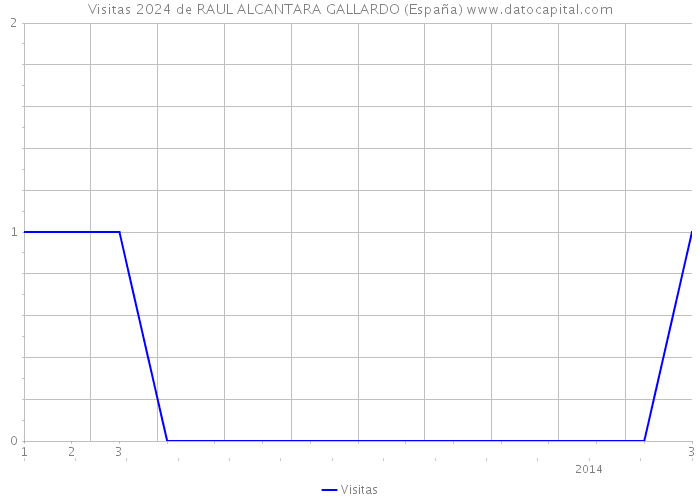 Visitas 2024 de RAUL ALCANTARA GALLARDO (España) 
