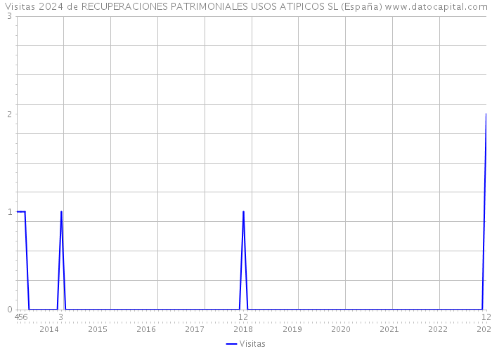 Visitas 2024 de RECUPERACIONES PATRIMONIALES USOS ATIPICOS SL (España) 