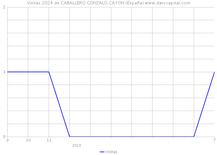 Visitas 2024 de CABALLERO GONZALO CAYON (España) 