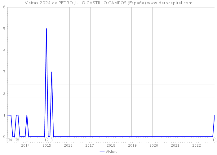 Visitas 2024 de PEDRO JULIO CASTILLO CAMPOS (España) 