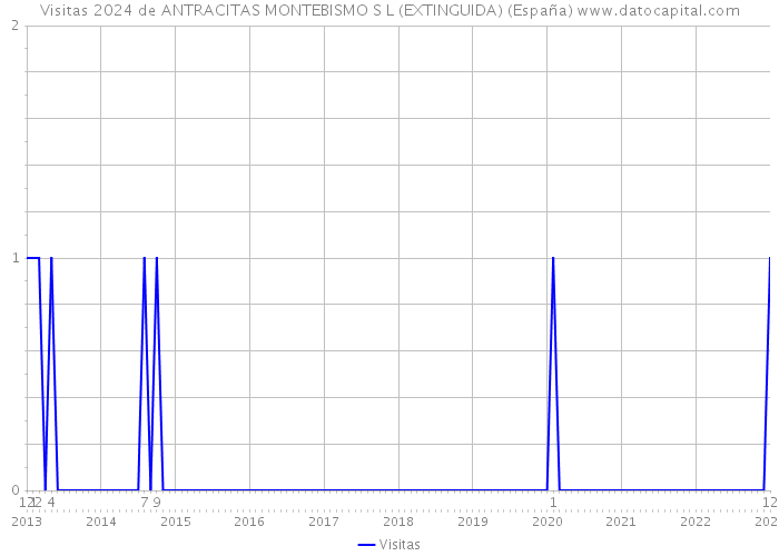 Visitas 2024 de ANTRACITAS MONTEBISMO S L (EXTINGUIDA) (España) 