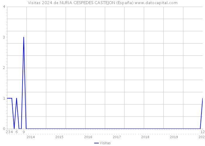 Visitas 2024 de NURIA CESPEDES CASTEJON (España) 