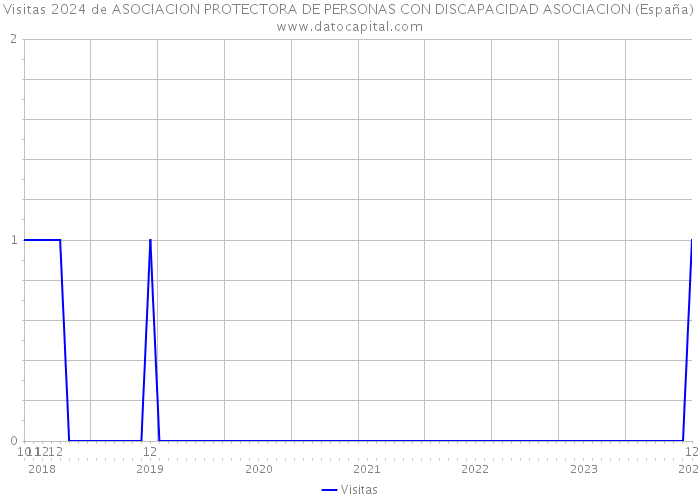 Visitas 2024 de ASOCIACION PROTECTORA DE PERSONAS CON DISCAPACIDAD ASOCIACION (España) 