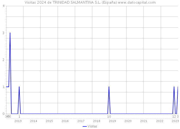 Visitas 2024 de TRINIDAD SALMANTINA S.L. (España) 