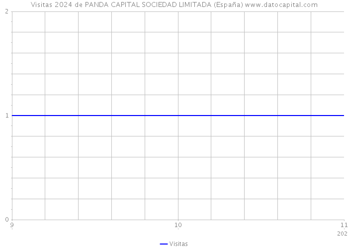 Visitas 2024 de PANDA CAPITAL SOCIEDAD LIMITADA (España) 