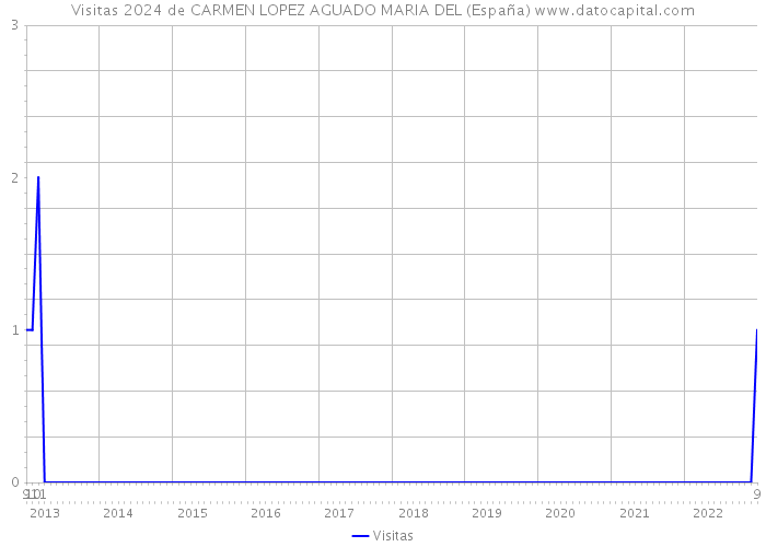 Visitas 2024 de CARMEN LOPEZ AGUADO MARIA DEL (España) 