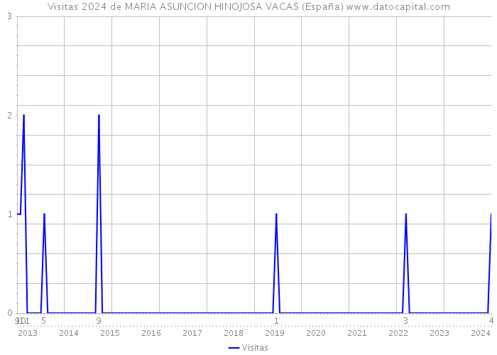 Visitas 2024 de MARIA ASUNCION HINOJOSA VACAS (España) 