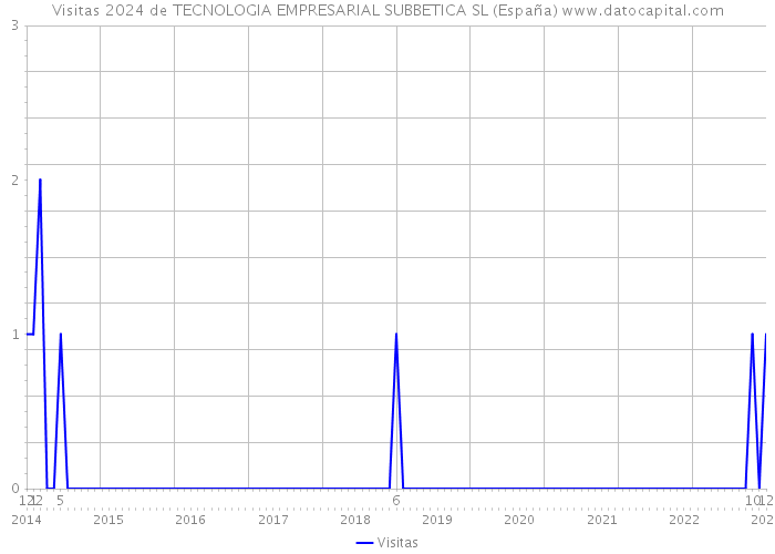 Visitas 2024 de TECNOLOGIA EMPRESARIAL SUBBETICA SL (España) 