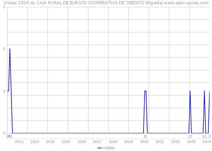 Visitas 2024 de CAJA RURAL DE BURGOS COOPERATIVA DE CREDITO (España) 