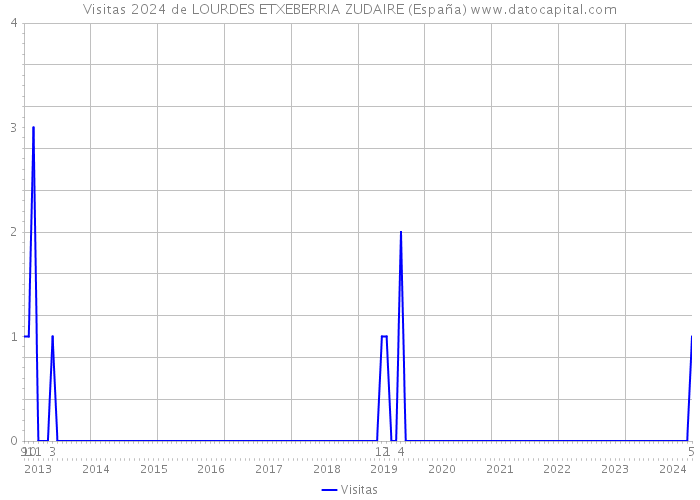 Visitas 2024 de LOURDES ETXEBERRIA ZUDAIRE (España) 