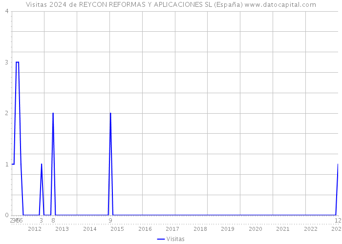 Visitas 2024 de REYCON REFORMAS Y APLICACIONES SL (España) 