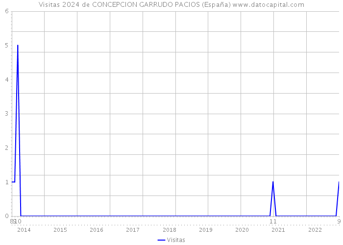Visitas 2024 de CONCEPCION GARRUDO PACIOS (España) 