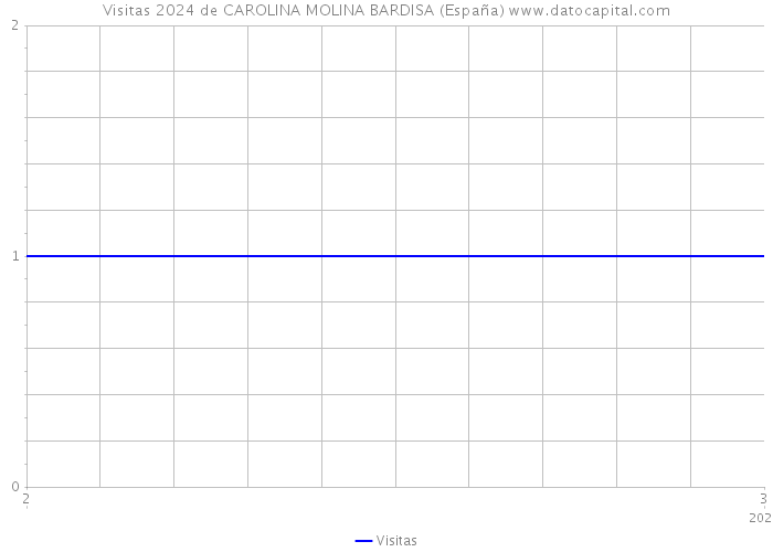 Visitas 2024 de CAROLINA MOLINA BARDISA (España) 