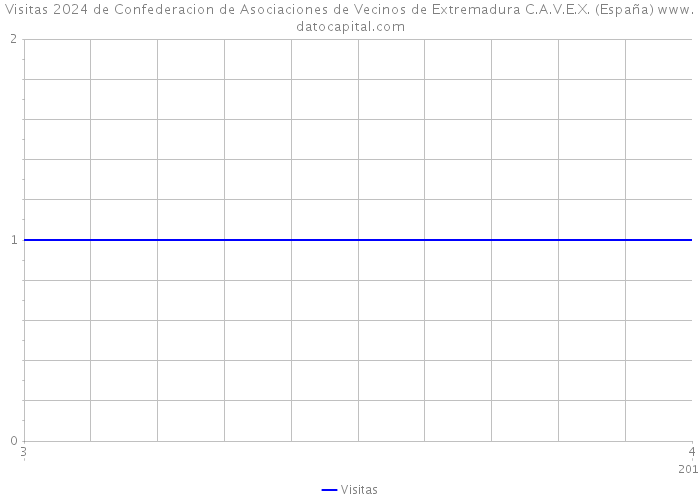 Visitas 2024 de Confederacion de Asociaciones de Vecinos de Extremadura C.A.V.E.X. (España) 