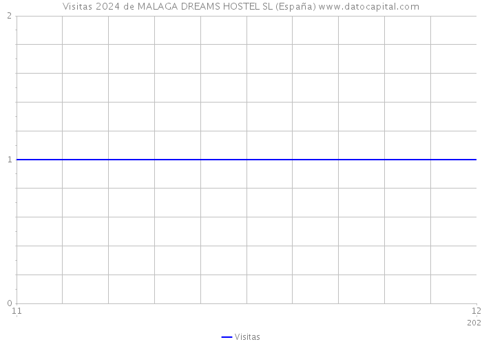 Visitas 2024 de MALAGA DREAMS HOSTEL SL (España) 