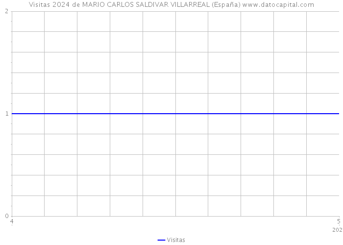 Visitas 2024 de MARIO CARLOS SALDIVAR VILLARREAL (España) 