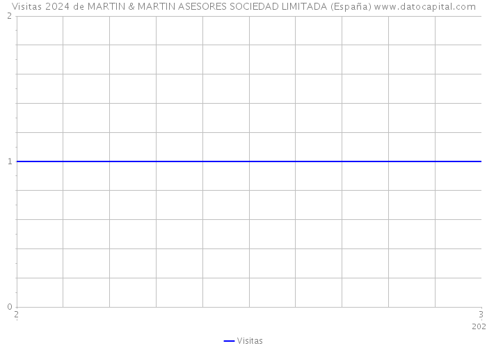 Visitas 2024 de MARTIN & MARTIN ASESORES SOCIEDAD LIMITADA (España) 