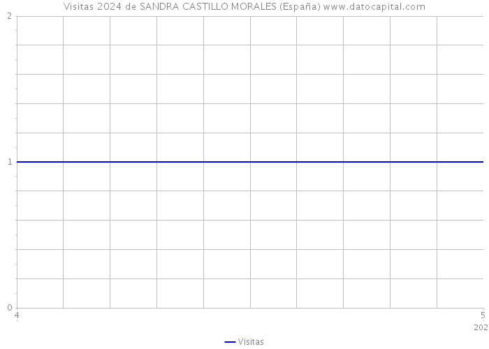 Visitas 2024 de SANDRA CASTILLO MORALES (España) 