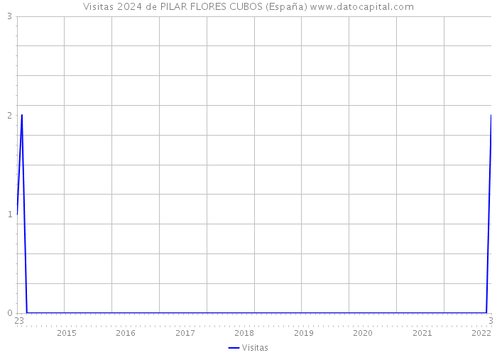 Visitas 2024 de PILAR FLORES CUBOS (España) 