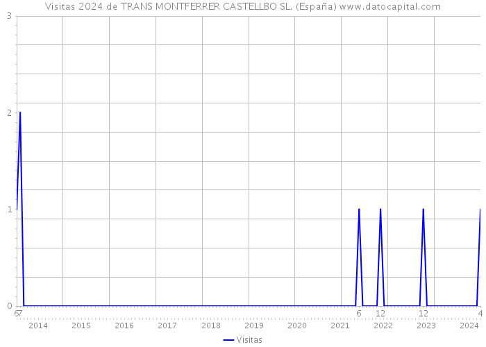 Visitas 2024 de TRANS MONTFERRER CASTELLBO SL. (España) 