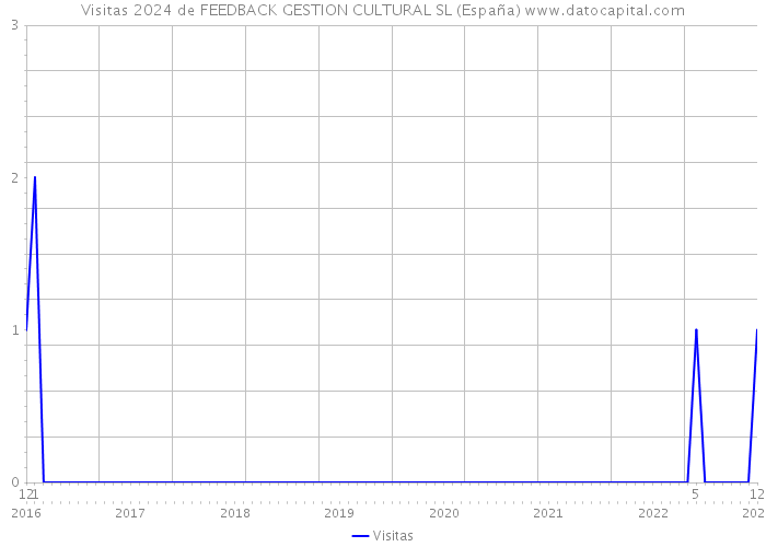 Visitas 2024 de FEEDBACK GESTION CULTURAL SL (España) 