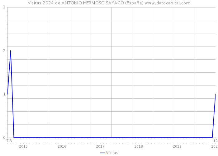 Visitas 2024 de ANTONIO HERMOSO SAYAGO (España) 