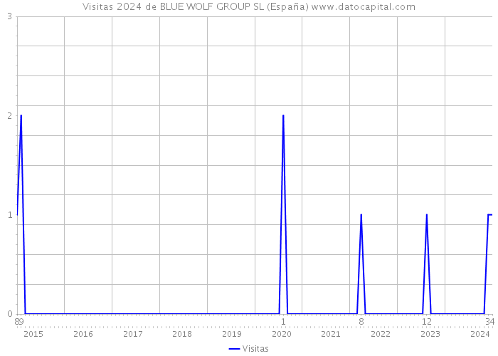 Visitas 2024 de BLUE WOLF GROUP SL (España) 