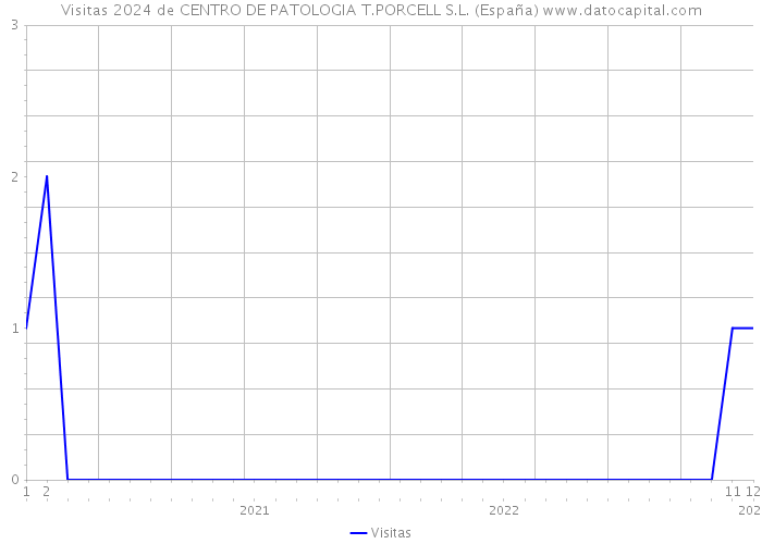 Visitas 2024 de CENTRO DE PATOLOGIA T.PORCELL S.L. (España) 