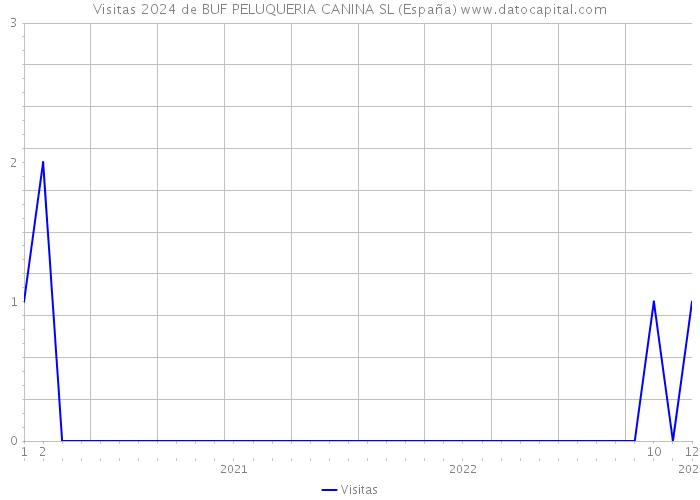 Visitas 2024 de BUF PELUQUERIA CANINA SL (España) 