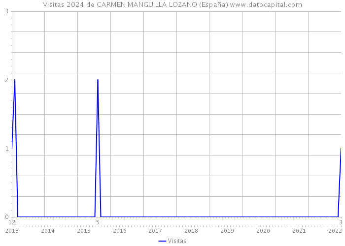 Visitas 2024 de CARMEN MANGUILLA LOZANO (España) 