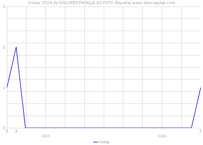 Visitas 2024 de DOLORES PADILLA ACOSTA (España) 
