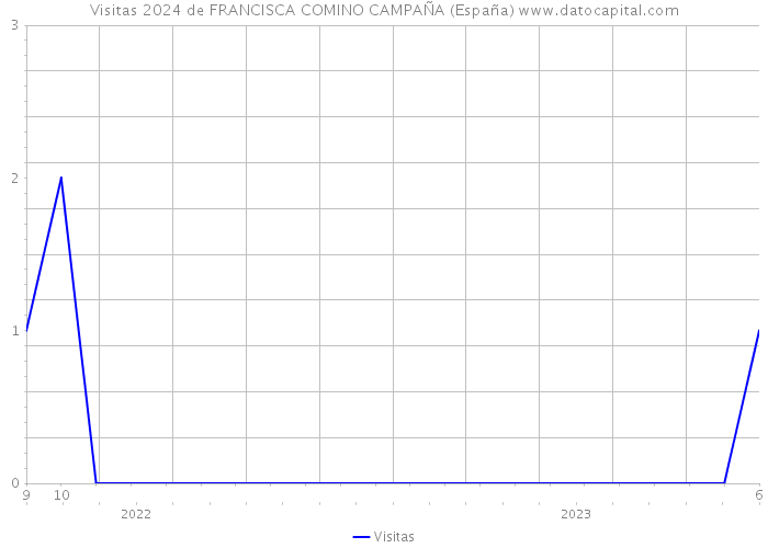 Visitas 2024 de FRANCISCA COMINO CAMPAÑA (España) 