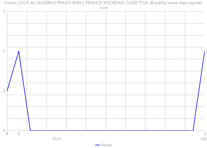 Visitas 2024 de OLIVERAS PRADO ENRIC FRANCE SOCIEDAD COLECTIVA (España) 