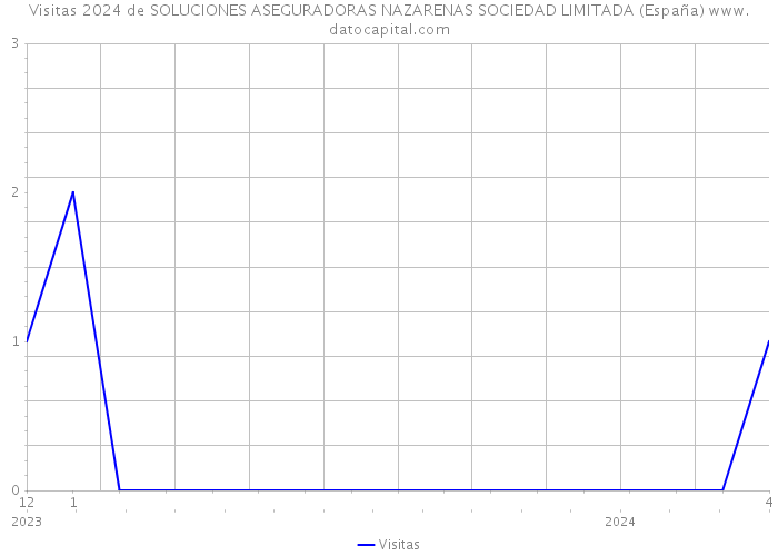 Visitas 2024 de SOLUCIONES ASEGURADORAS NAZARENAS SOCIEDAD LIMITADA (España) 