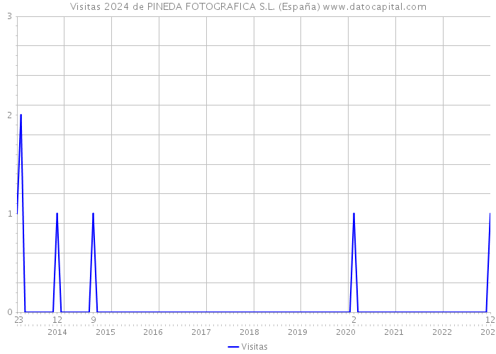 Visitas 2024 de PINEDA FOTOGRAFICA S.L. (España) 