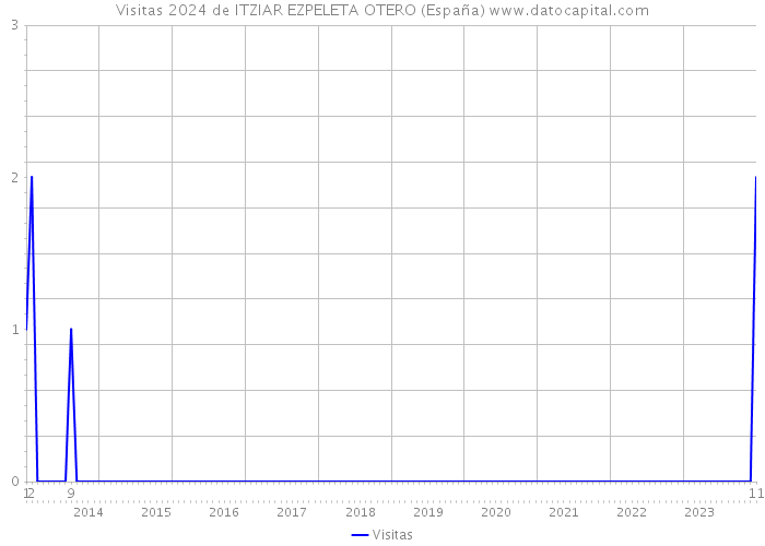 Visitas 2024 de ITZIAR EZPELETA OTERO (España) 