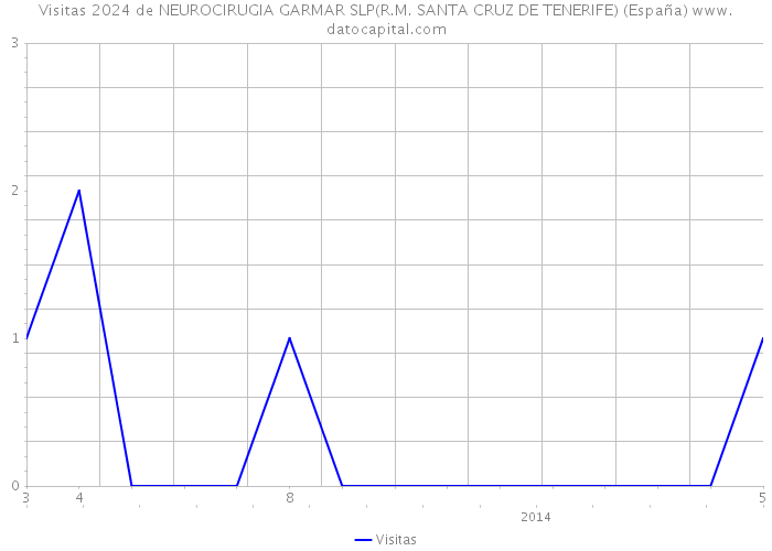 Visitas 2024 de NEUROCIRUGIA GARMAR SLP(R.M. SANTA CRUZ DE TENERIFE) (España) 