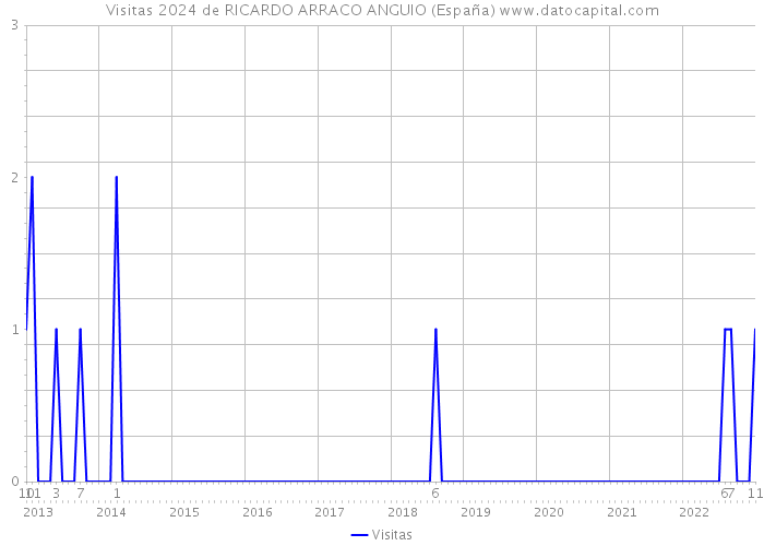 Visitas 2024 de RICARDO ARRACO ANGUIO (España) 