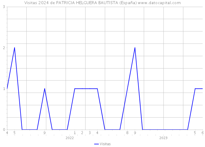Visitas 2024 de PATRICIA HELGUERA BAUTISTA (España) 