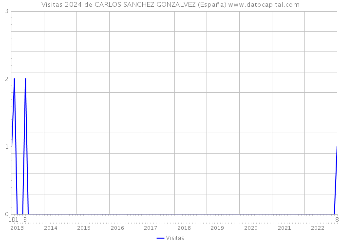 Visitas 2024 de CARLOS SANCHEZ GONZALVEZ (España) 