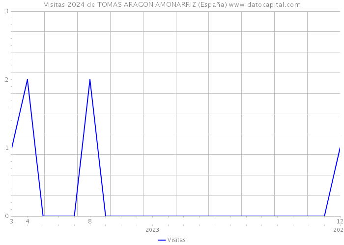 Visitas 2024 de TOMAS ARAGON AMONARRIZ (España) 