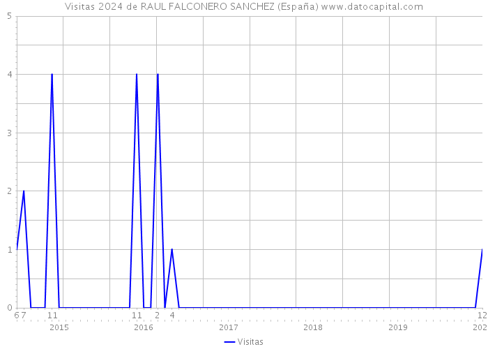 Visitas 2024 de RAUL FALCONERO SANCHEZ (España) 