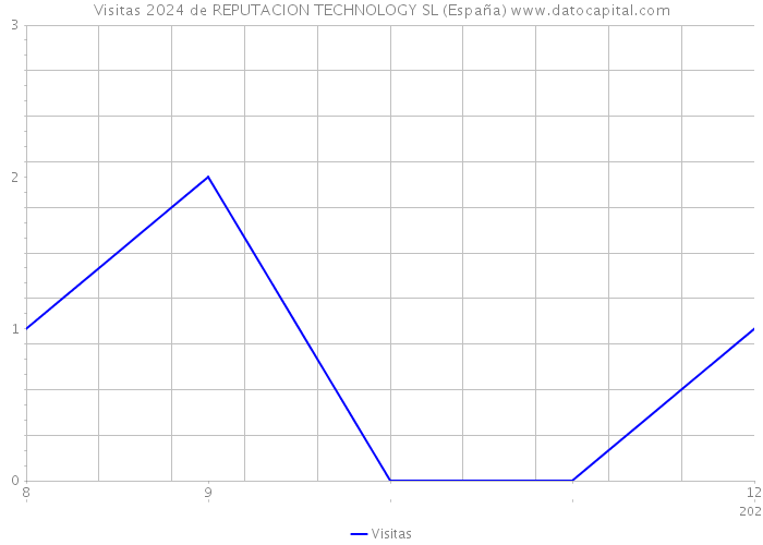 Visitas 2024 de REPUTACION TECHNOLOGY SL (España) 