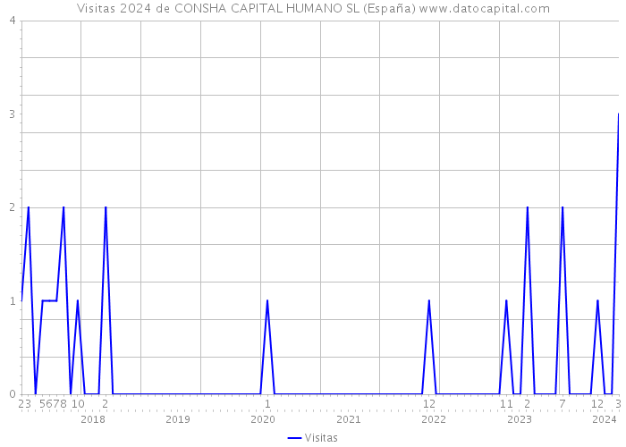 Visitas 2024 de CONSHA CAPITAL HUMANO SL (España) 