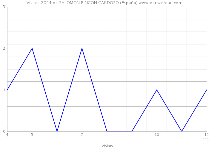 Visitas 2024 de SALOMON RINCON CARDOSO (España) 
