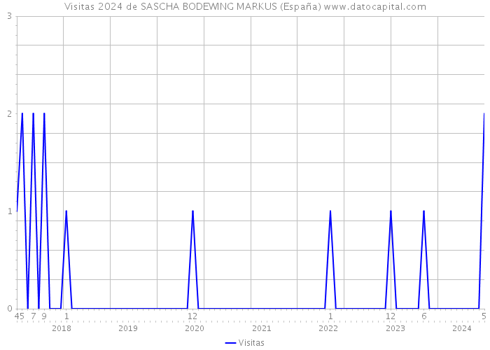 Visitas 2024 de SASCHA BODEWING MARKUS (España) 