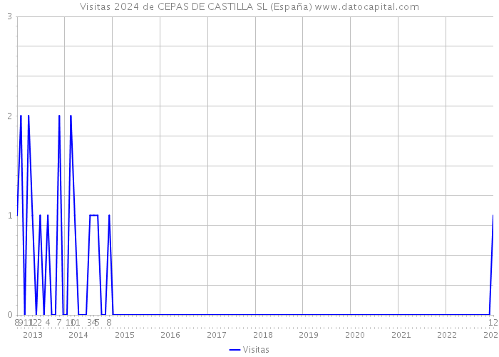 Visitas 2024 de CEPAS DE CASTILLA SL (España) 