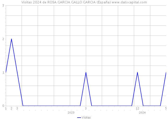 Visitas 2024 de ROSA GARCIA GALLO GARCIA (España) 